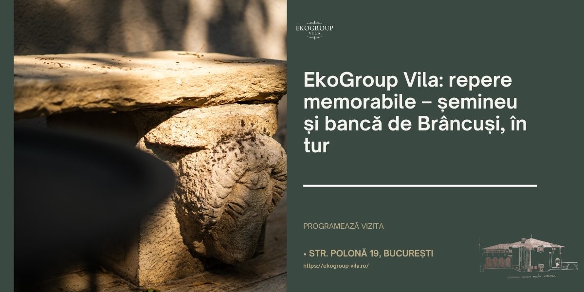 Activități pentru copii: O experiență educațională la EkoGroup Vila în cadrul programului Școala altfel